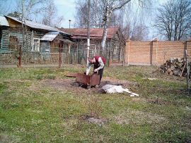 imag0008.jpg