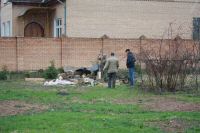 02-04.jpg